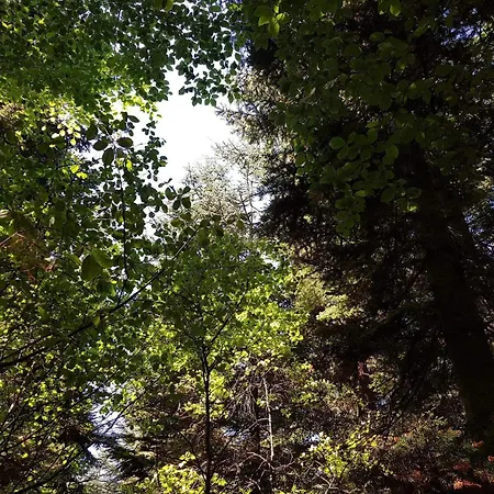 Family With Terrace And Lawn Toftlund