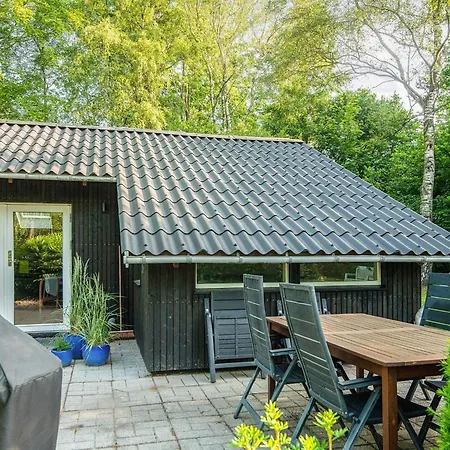 Family With Terrace And Lawn